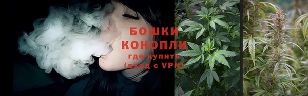 крисы Дмитриев