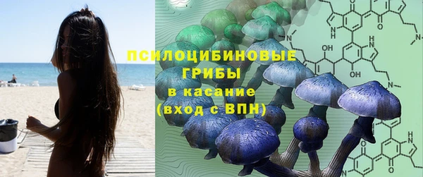 крисы Дмитриев