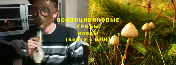 крисы Дмитриев