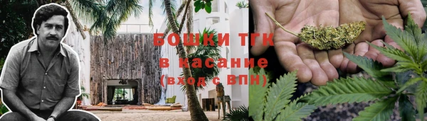 крисы Дмитриев
